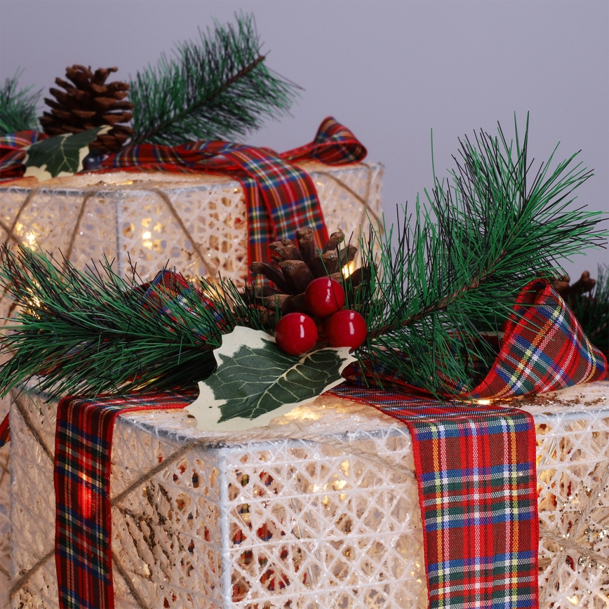 RINKINYS 3x LED Kalėdinė dovana 48xLED/3,6W/230V IP44 šiltai balta