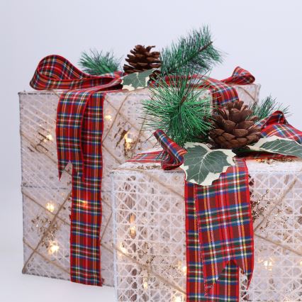 RINKINYS 3x LED Kalėdinė dovana 48xLED/3,6W/230V IP44 šiltai balta