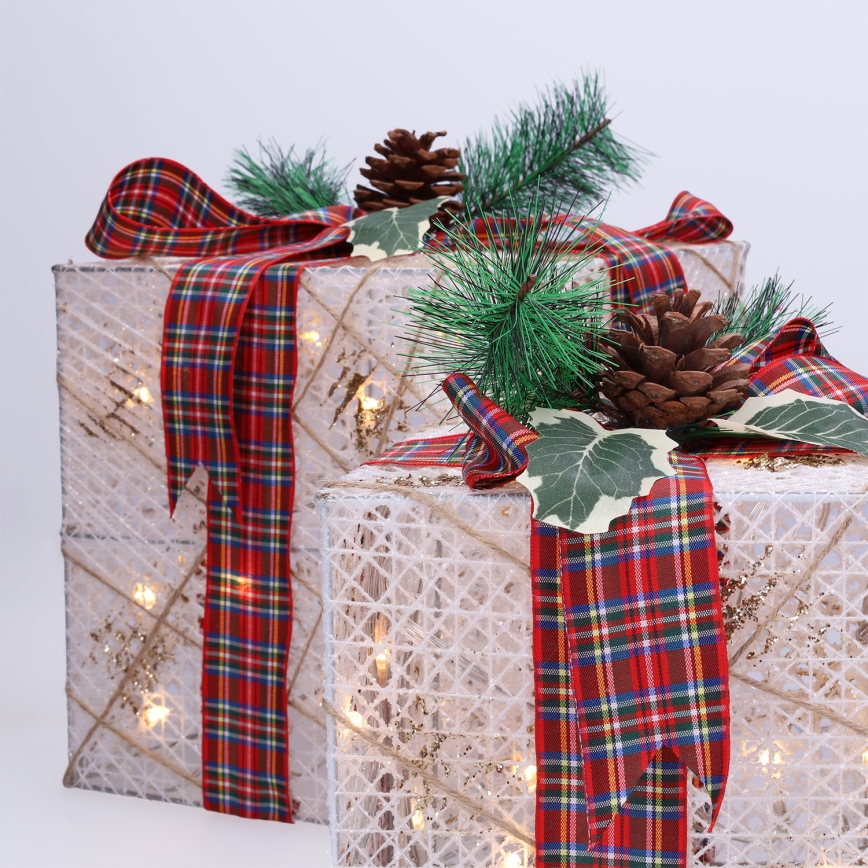 RINKINYS 3x LED Kalėdinė dovana 48xLED/3,6W/230V IP44 šiltai balta