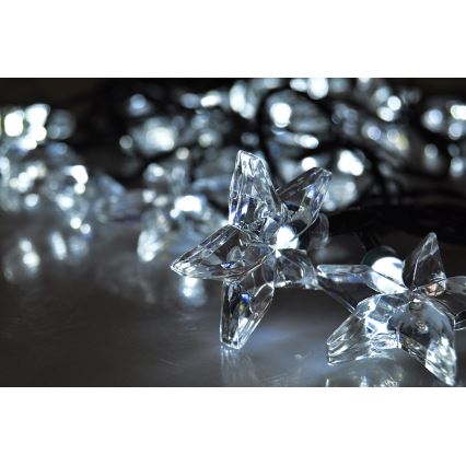 LED girlianda 20 LED, 6 m, šaltai balta