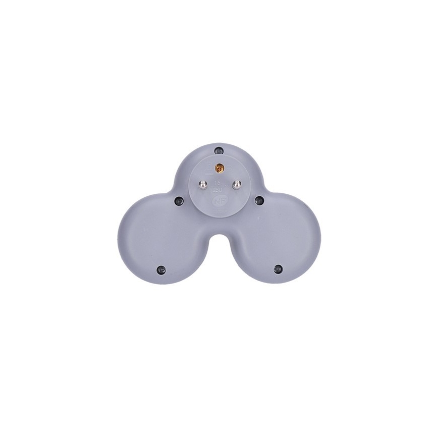 Lizdo skirstytuvas 2x10A/230V