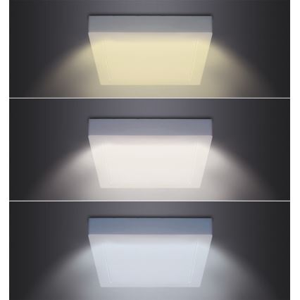 LED lubinis šviestuvas LED/18W/230V 3000/4000/6000K 22,5x22,5 cm baltas