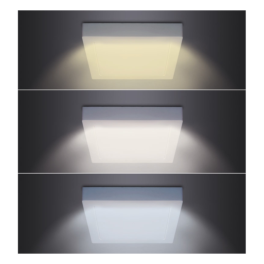 LED lubinis šviestuvas LED/18W/230V 3000/4000/6000K 22,5x22,5 cm baltas