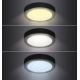 LED Lubinis šviestuvas LED/24W/230V 3000/4000/6000K juodas apvalus