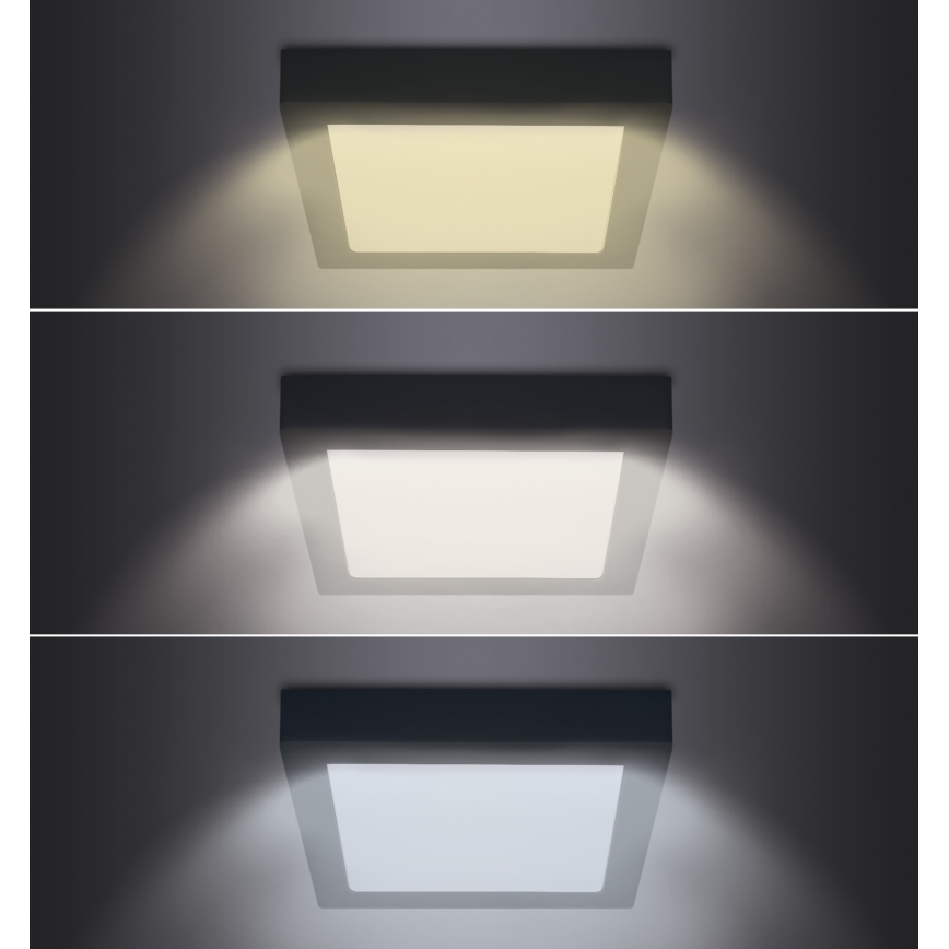 LED Lubinis šviestuvas LED/24W/230V 3000/4000/6000K juodas kampinis