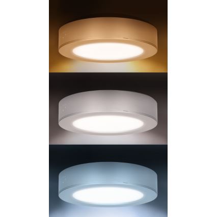 LED paviršinis/įleidžiamas 2in1 panelis LED/12W/230V 3000/4000/6000K skersmuo 17 cm IP54 sidabrinis