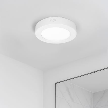 LED paviršinis/įleidžiamas 2in1 panelis LED/12W/230V 3000/4000/6000K Ø17 cm IP54 balta