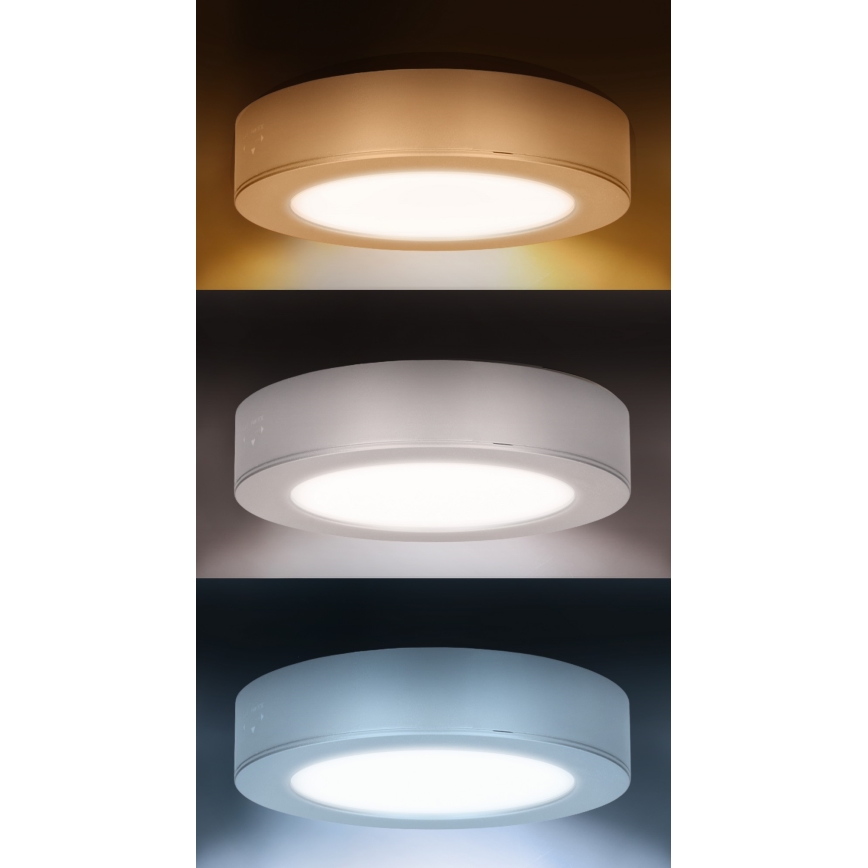 LED paviršinis/įleidžiamas 2in1 panelis LED/12W/230V 3000/4000/6000K Ø17 cm IP54 balta