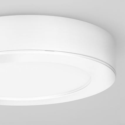 LED paviršinis/įleidžiamas 2in1 panelis LED/12W/230V 3000/4000/6000K Ø17 cm IP54 balta