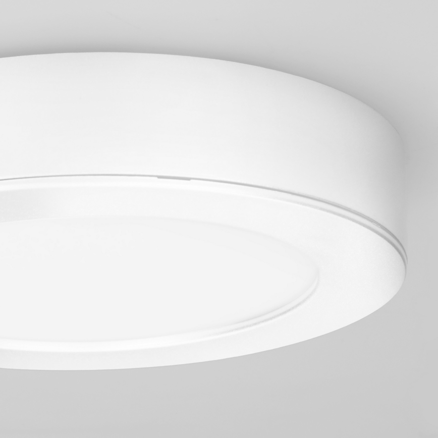 LED paviršinis/įleidžiamas 2in1 panelis LED/12W/230V 3000/4000/6000K Ø17 cm IP54 balta