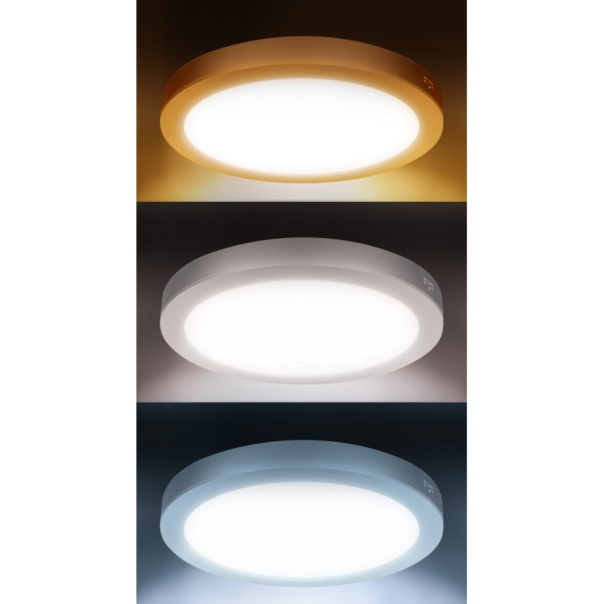 LED 2in1 paviršinis/įleidžiamas lubų panelis 18W/230V 3000/4000/6000K, skersmuo 22,5 cm, IP54, balta