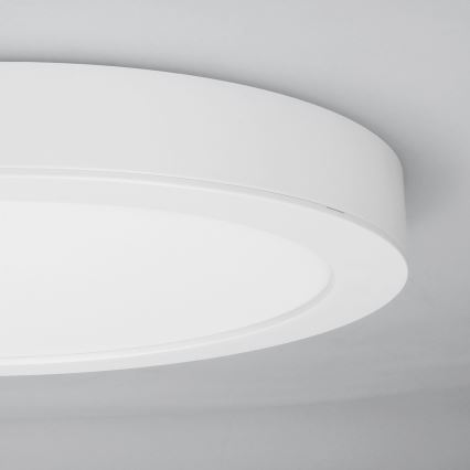 LED 2in1 paviršinis/įleidžiamas lubų panelis 18W/230V 3000/4000/6000K, skersmuo 22,5 cm, IP54, balta