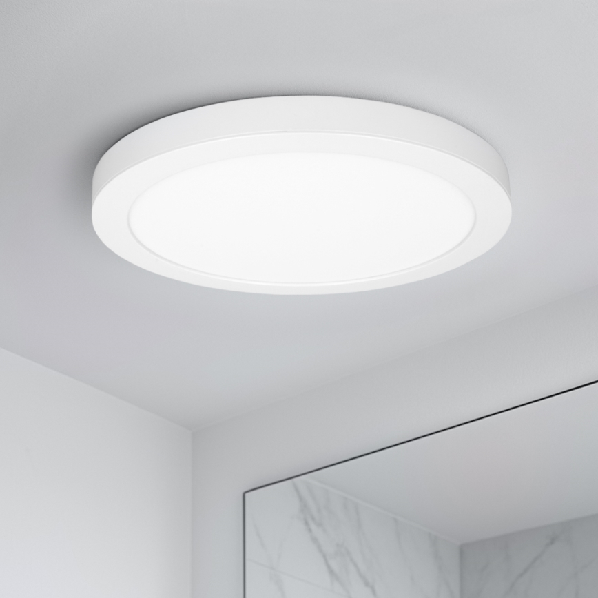 LED paviršinis/įleidžiamas panelis 2in1 24W/230V 3000/4000/6000K skersmuo 30 cm IP54 balta