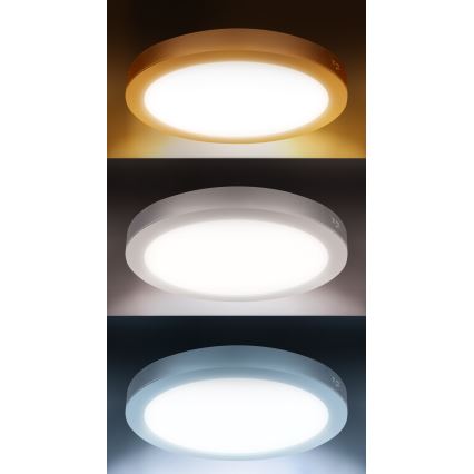 LED paviršinis/įleidžiamas panelis 2in1 24W/230V 3000/4000/6000K skersmuo 30 cm IP54 balta