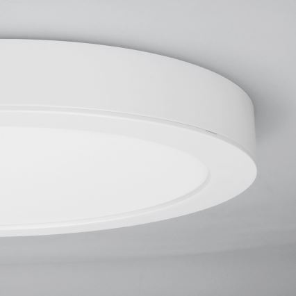 LED paviršinis/įleidžiamas panelis 2in1 24W/230V 3000/4000/6000K skersmuo 30 cm IP54 balta