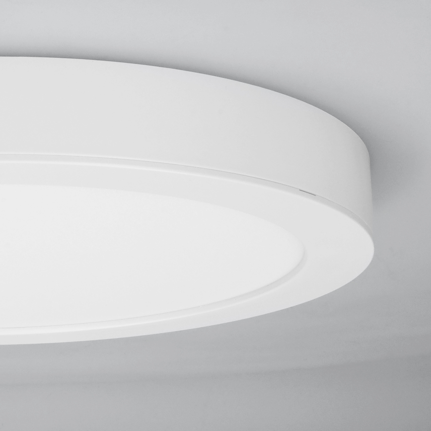 LED paviršinis/įleidžiamas panelis 2in1 24W/230V 3000/4000/6000K skersmuo 30 cm IP54 balta