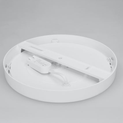 LED paviršinis/įleidžiamas panelis 2in1 24W/230V 3000/4000/6000K skersmuo 30 cm IP54 balta