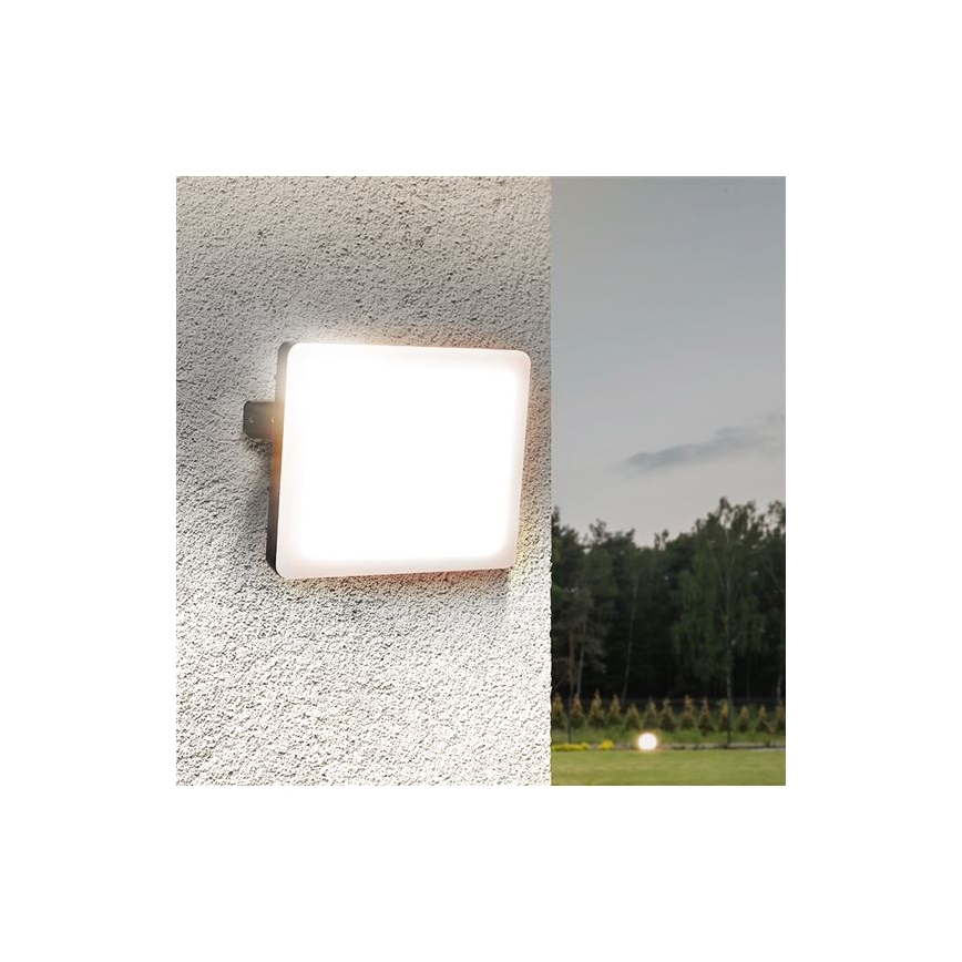 LED lauko prožektorius LED/30W/230V 4000K IP65