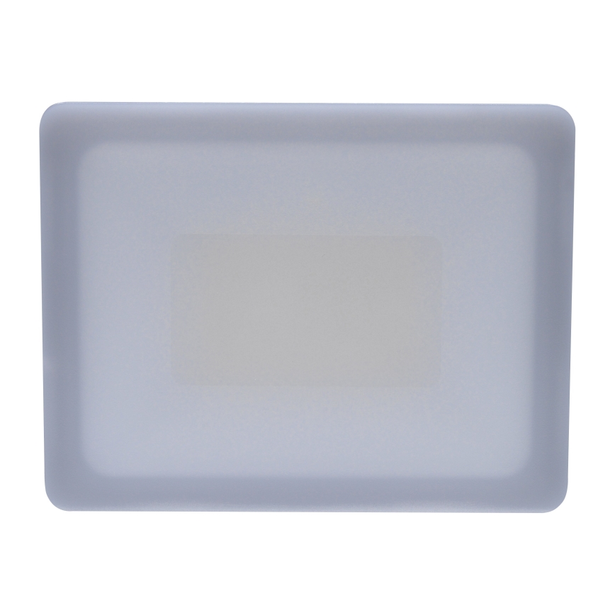 LED lauko prožektorius LED/30W/230V 4000K IP65