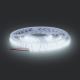 LED Juosta LED/50W/12V 5m šaltai balta