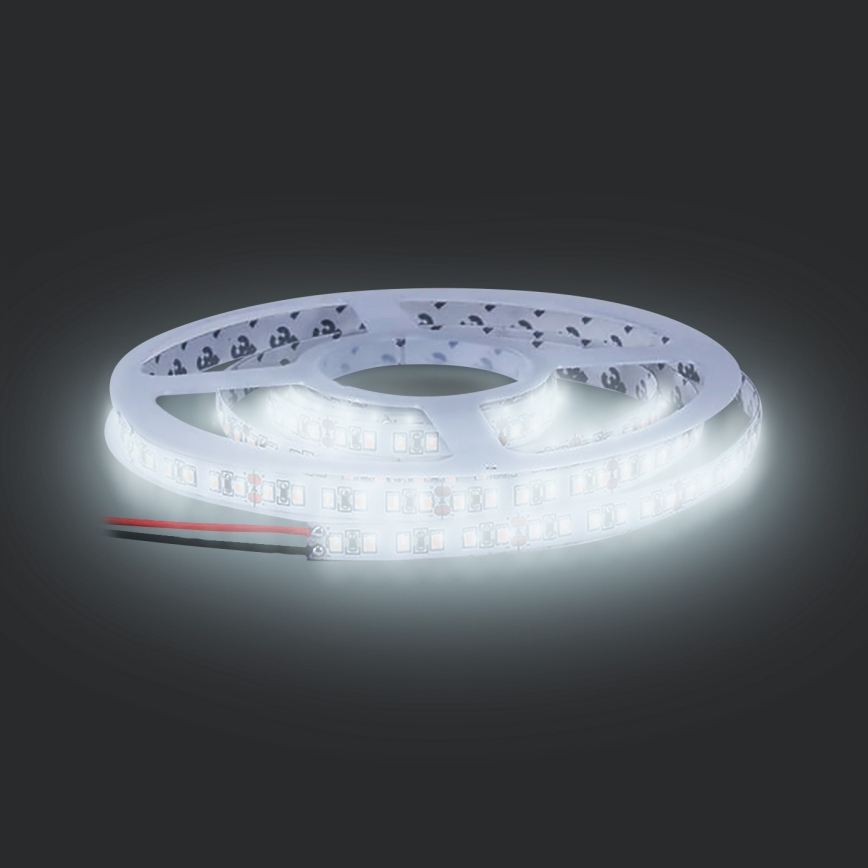 LED Juosta LED/50W/12V 5m šaltai balta
