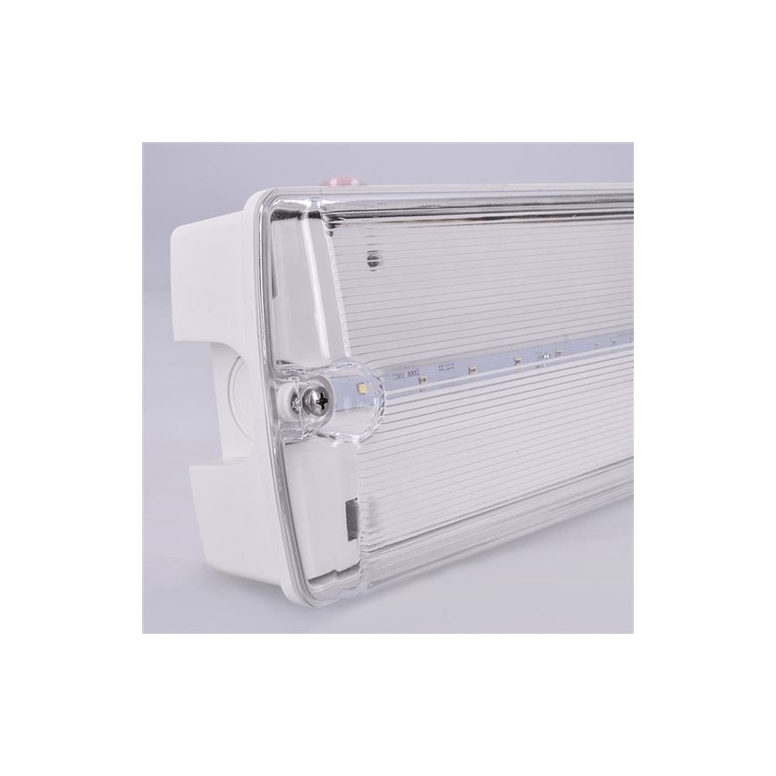 LED avarinė lemputė LED/3,2W/230V IP65 6500K
