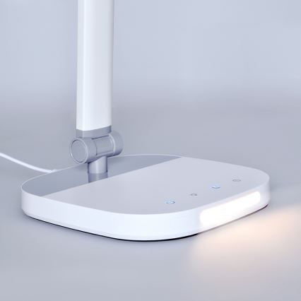 LED reguliuojama jutiklinė stalinė lempa su naktiniu apšvietimu LED/10W/5V 3000/4000/5000K balta