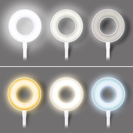Reguliuojama LED stalinė lempa su spaustuku, 8W, 230V, 3000/4000/5000K, balta