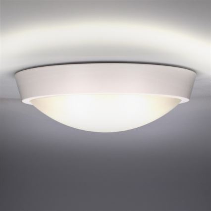 LED lauko lubinis šviestuvas LED/30W/230V  IP65