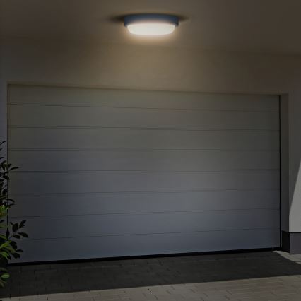 LED sieninis lauko šviestuvas LED/13W/230V 4000K IP54 pilka apvalus