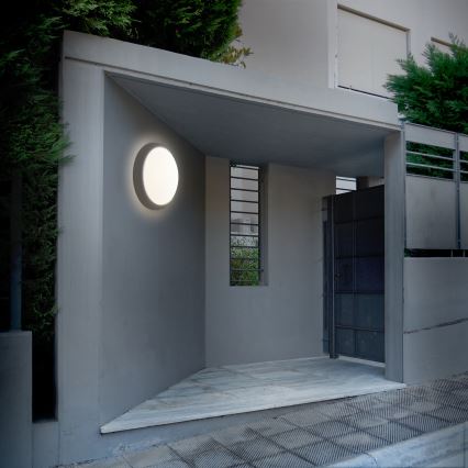 LED sieninis lauko šviestuvas LED/13W/230V 4000K IP54 pilka apvalus