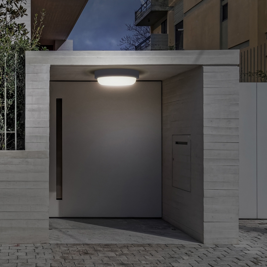 LED sieninis lauko šviestuvas LED/13W/230V 4000K IP54 pilka apvalus