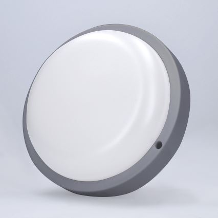 LED sieninis lauko šviestuvas LED/13W/230V 4000K IP54 pilka apvalus