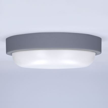 LED sieninis lauko šviestuvas LED/13W/230V 4000K IP54 pilka apvalus