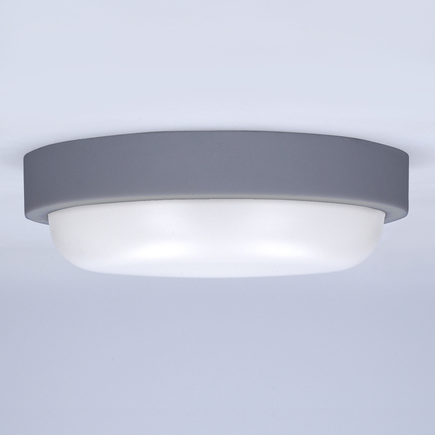 LED sieninis lauko šviestuvas LED/13W/230V 4000K IP54 pilka apvalus