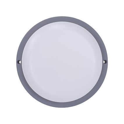 LED sieninis lauko šviestuvas LED/13W/230V 4000K IP54 pilka apvalus