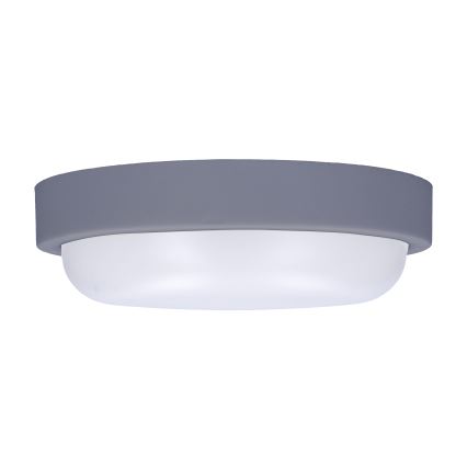 LED sieninis lauko šviestuvas LED/13W/230V 4000K IP54 pilka apvalus