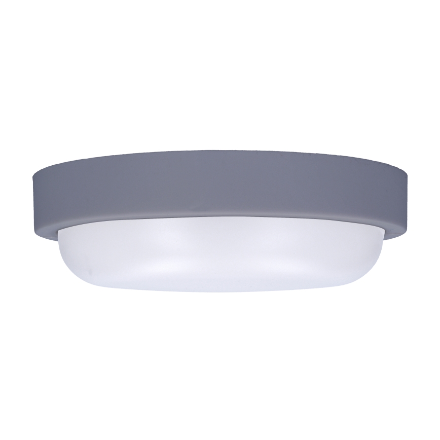 LED sieninis lauko šviestuvas LED/13W/230V 4000K IP54 pilka apvalus