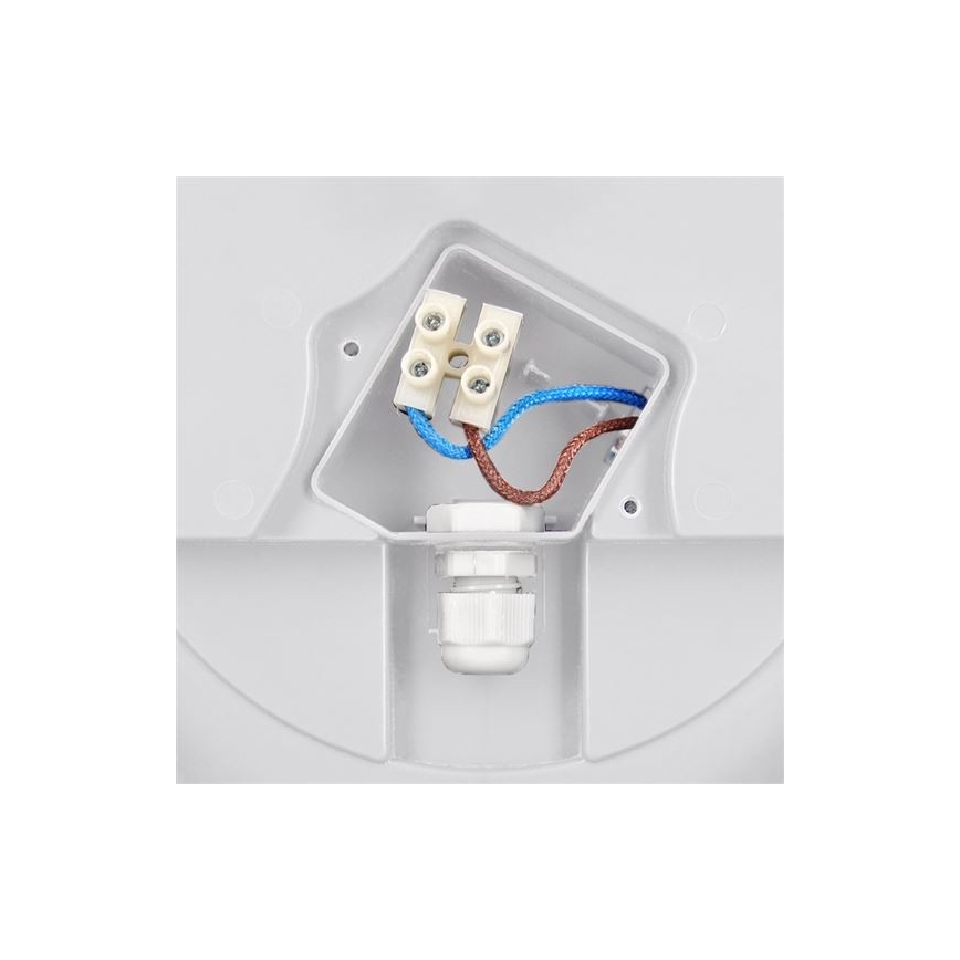 LED lubinis lauko šviestuvas SIENA LED/13W/230V IP54 diametras 17 cm balta
