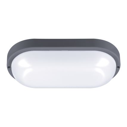 LED sieninis lauko šviestuvas LED/20W/230V 4000K IP54 pilka ovalas