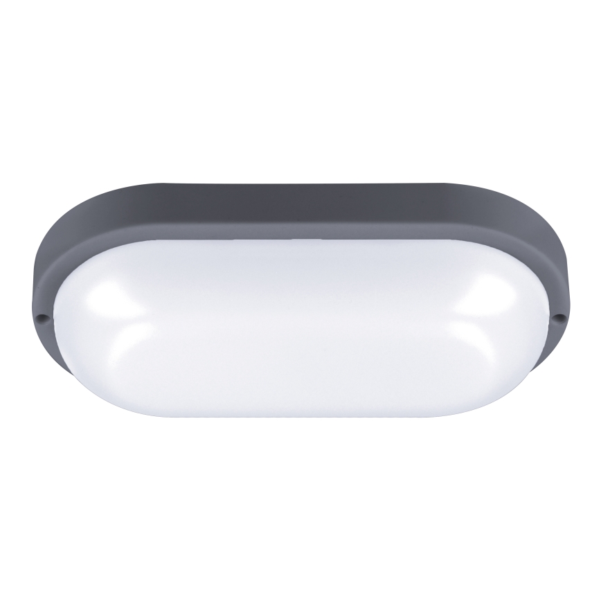 LED sieninis lauko šviestuvas LED/20W/230V 4000K IP54 pilka ovalas