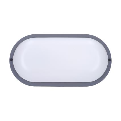 LED sieninis lauko šviestuvas LED/20W/230V 4000K IP54 pilka ovalas