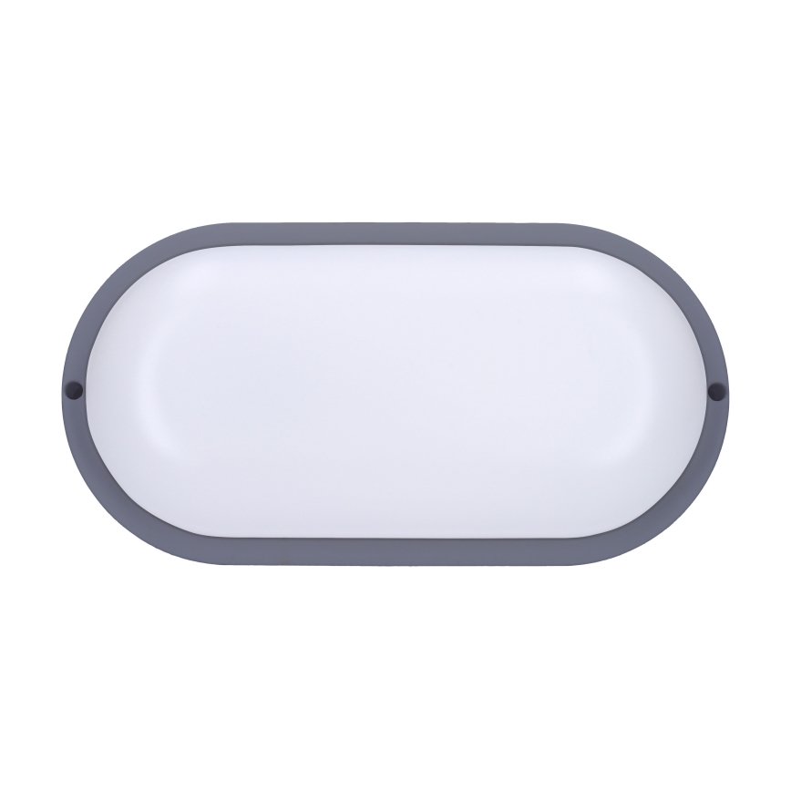 LED sieninis lauko šviestuvas LED/20W/230V 4000K IP54 pilka ovalas