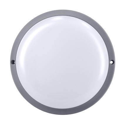 LED sieninis lauko šviestuvas LED/20W/230V 4000K IP54 pilka apvalus