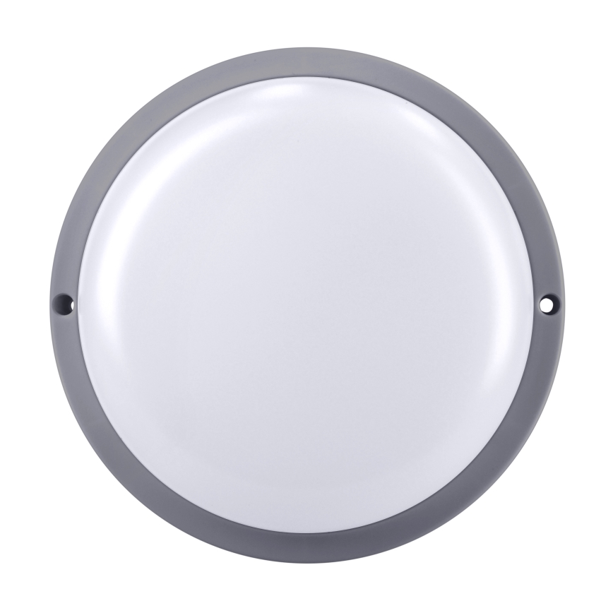 LED sieninis lauko šviestuvas LED/20W/230V 4000K IP54 pilka apvalus