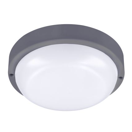 LED sieninis lauko šviestuvas LED/20W/230V 4000K IP54 pilka apvalus