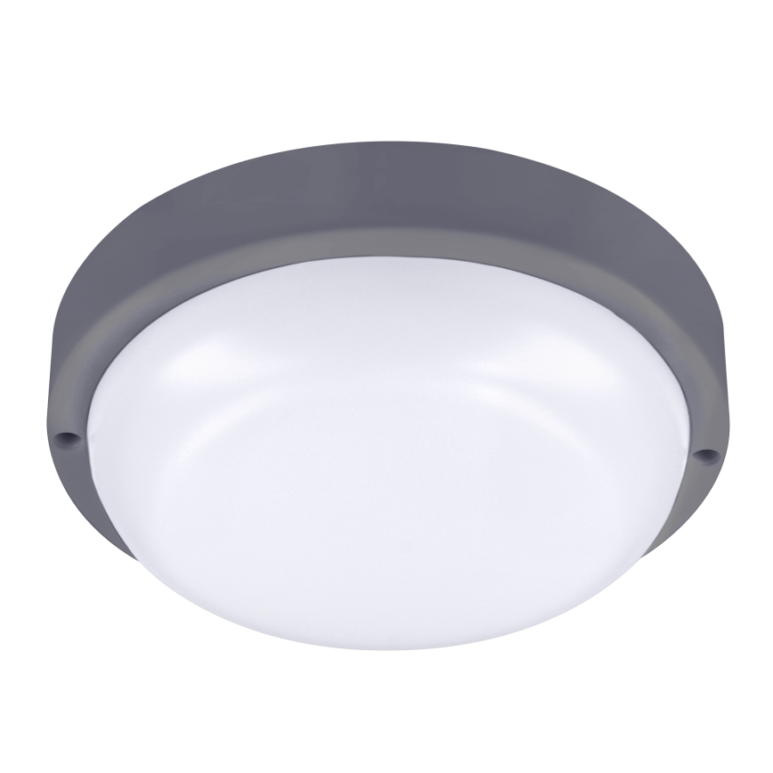 LED sieninis lauko šviestuvas LED/20W/230V 4000K IP54 pilka apvalus