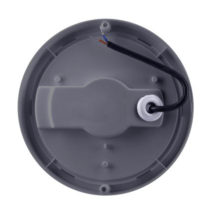 LED sieninis lauko šviestuvas LED/20W/230V 4000K IP54 pilka apvalus