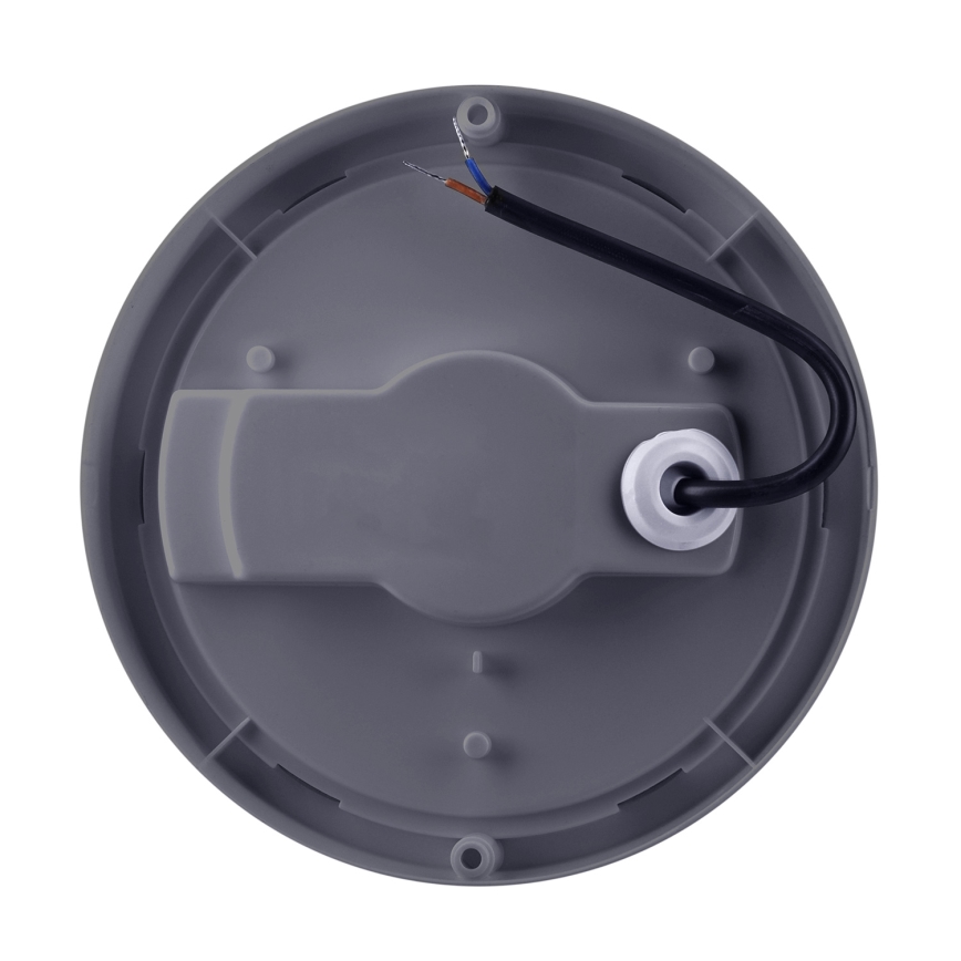 LED sieninis lauko šviestuvas LED/20W/230V 4000K IP54 pilka apvalus