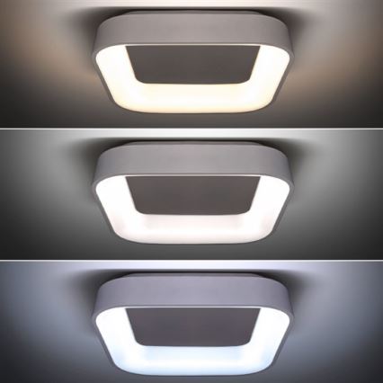 Pritemdomas LED šviestuvas LED/48W/230V + valdymo pultas